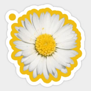 Beautiful Yellow And White Daisy Flower Cut Out Sticker